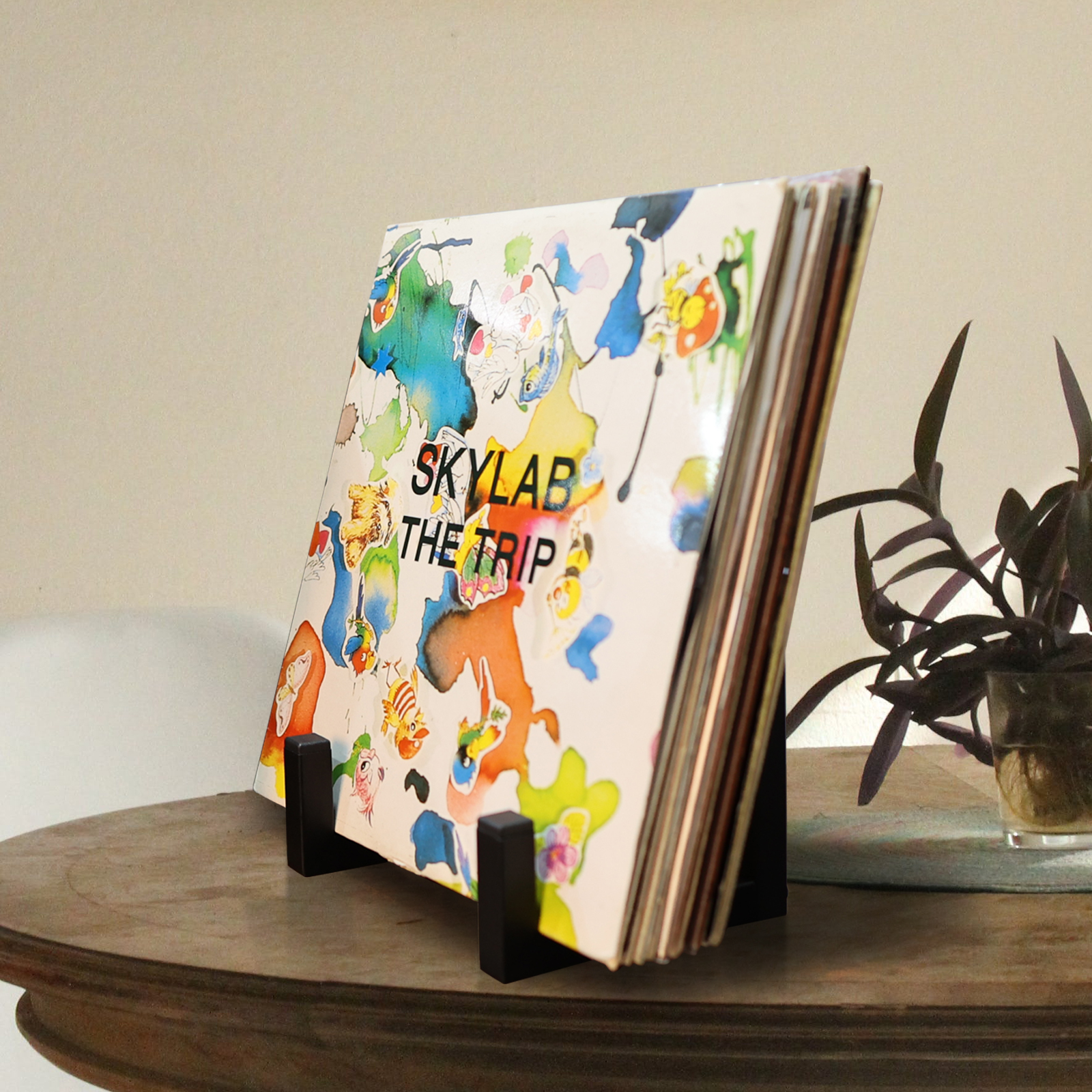 MayRecords Vinyl Record Holder Display Stand Vinyl Stand Storage Rack For CD Display or Multiple Album