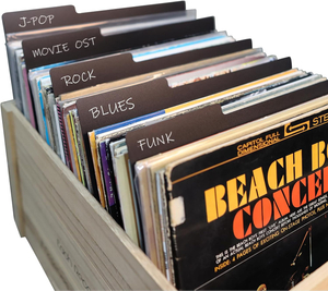 12.9 Inches 25 PCS Vinyl Record Dividers Black Hard PP Material Category Tab Double-Side Plastic Record Guides for LP, Album Crate, Bookshelf Organizer