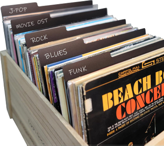 12.9 Inches 25 PCS Vinyl Record Dividers Black Hard PP Material Category Tab Double-Side Plastic Record Guides for LP, Album Crate, Bookshelf Organizer